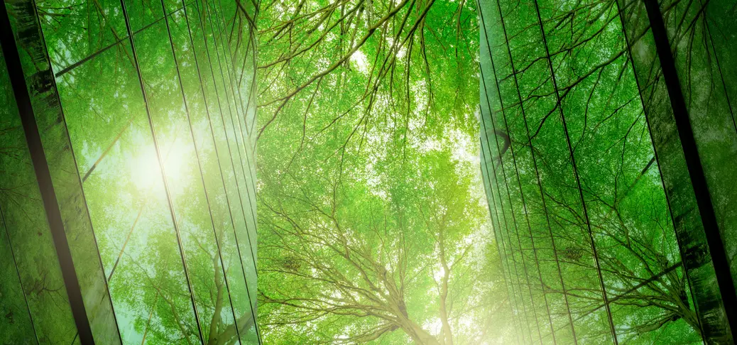 现代建筑与阳光下的绿地