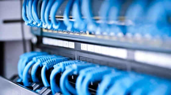 Default Alternative Text