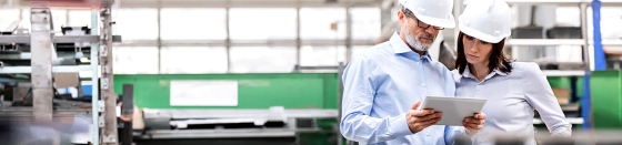 Default Alternative Text