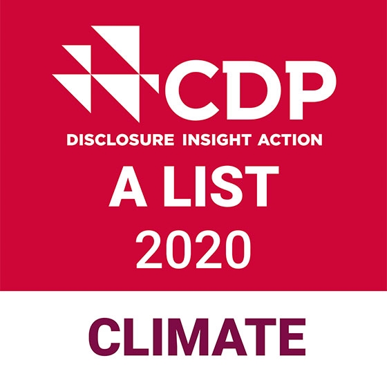 Disclosure insight action a list 2020